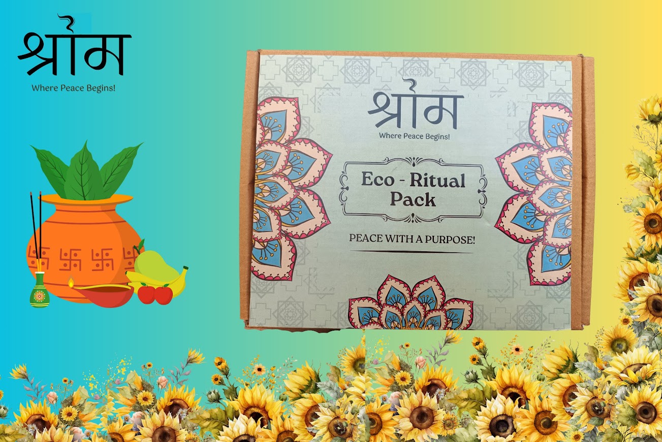 11_20241125_210452_0010